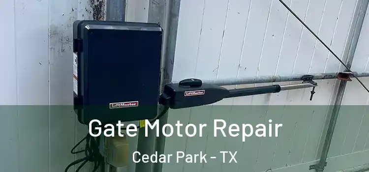 Gate Motor Repair Cedar Park - TX